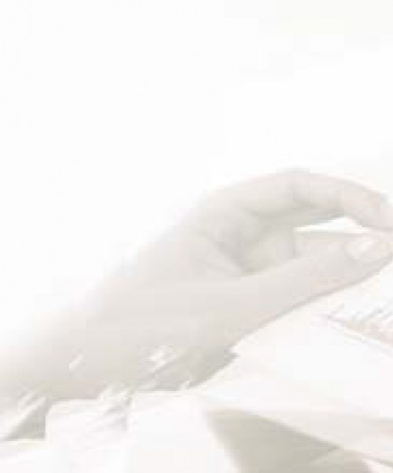 Reporte de Novedades Fiscales Nº 338