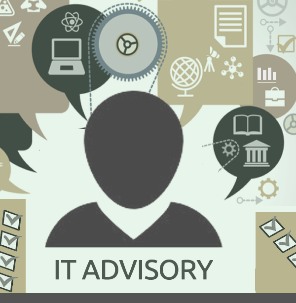 ¿Por qué Interim IT Management Services o IT Advisory?