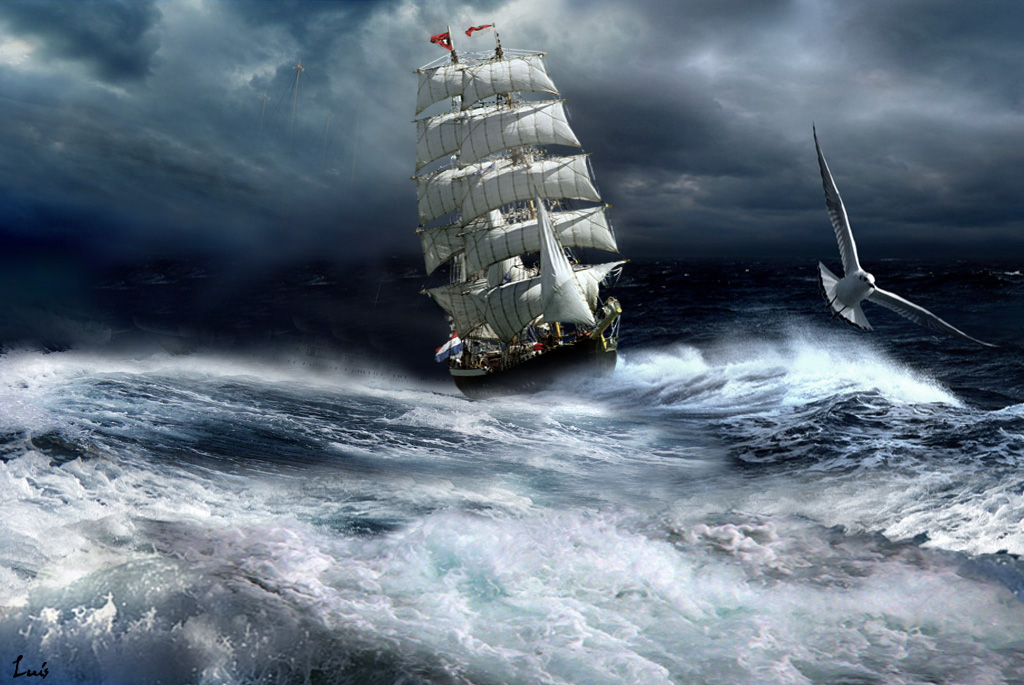 Bitácora: ¿Cómo navego la tormenta?