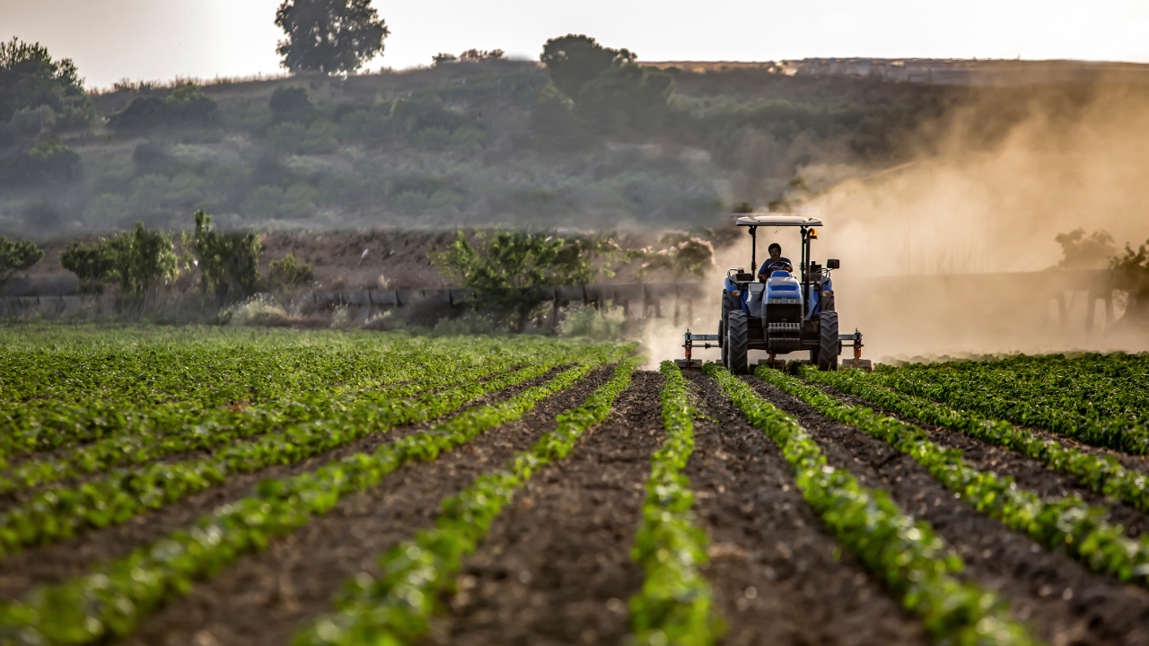 Ventajas del servicio de tercerización para empresas agropecuarias