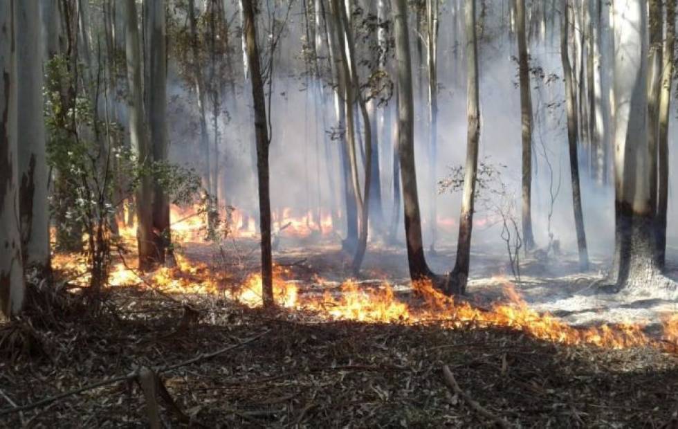 Emergencia agropecuaria por sequía e incendios en provincias argentinas Emergencia agropecuaria por sequía e incendios en provincias argentinas
