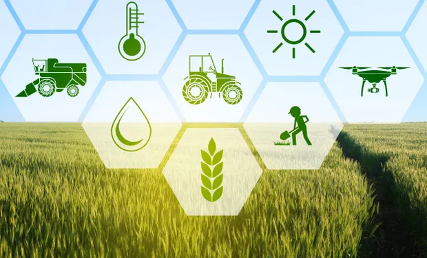 Tokenización en ganadería y sector agrícola Tokenización en ganadería y sector agrícola