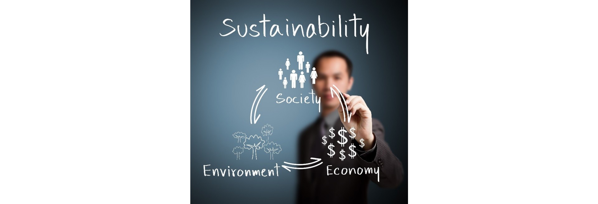 La sosteniblidad como pilar estratégico del Turismo en las grandes ciudades