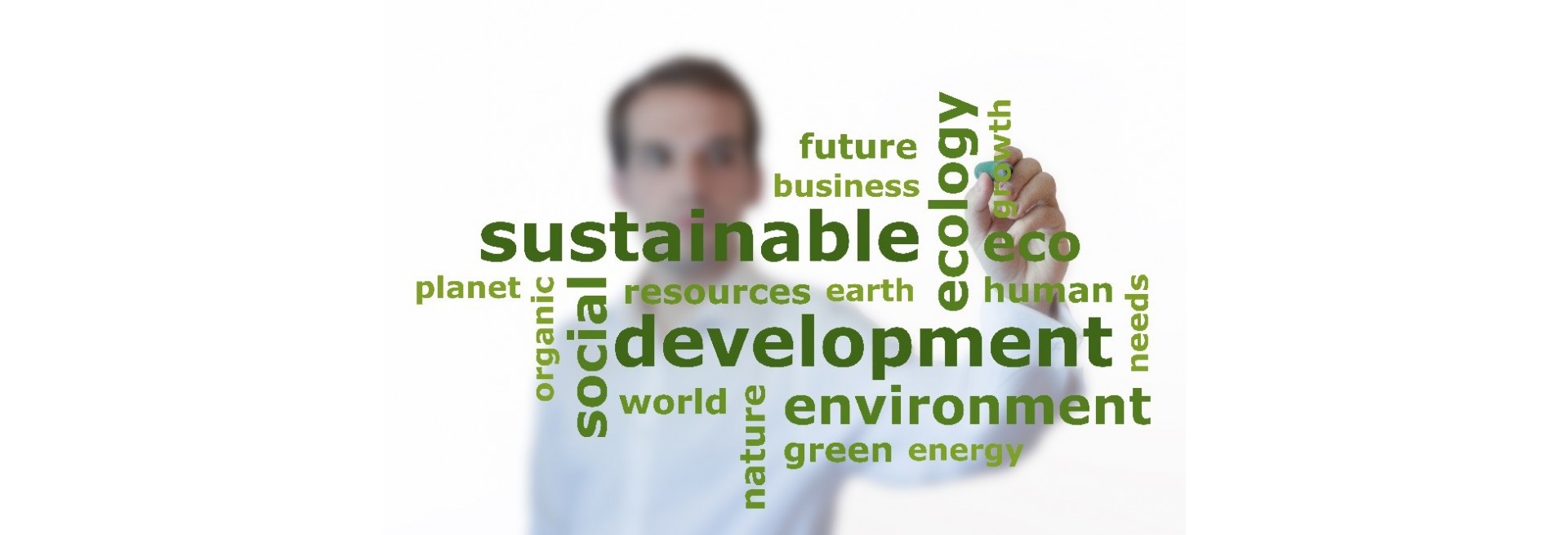 Desempeño ambiental Auren Consultores