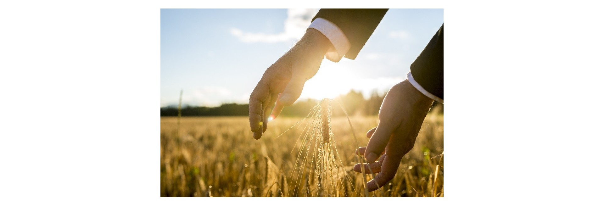 Sostenibilidad en la industria alimentaria