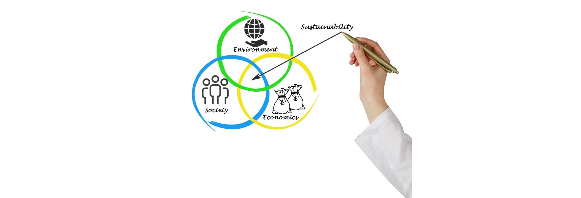 La economía circular y su perspectiva de mercado
