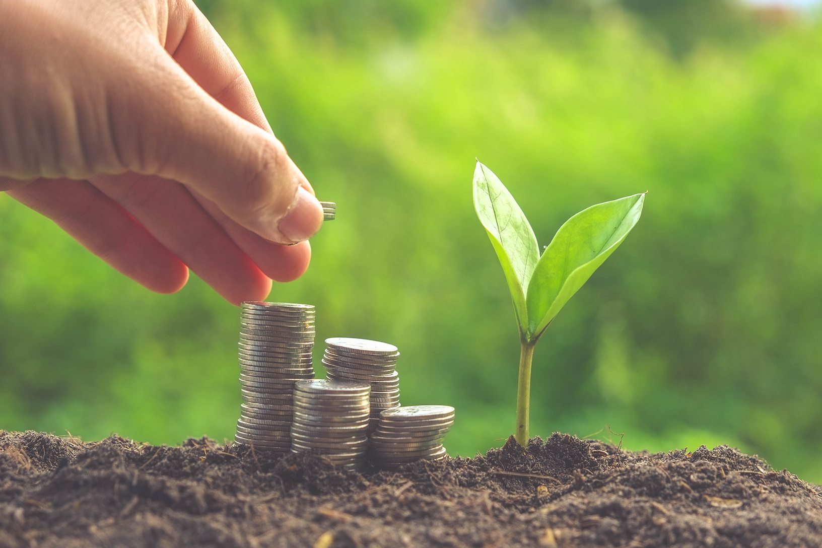 How does the European green taxonomy affect business finances?