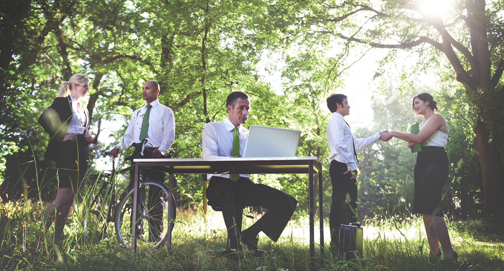 ESG Audits – the role of auditors ESG Audits – the role of auditors