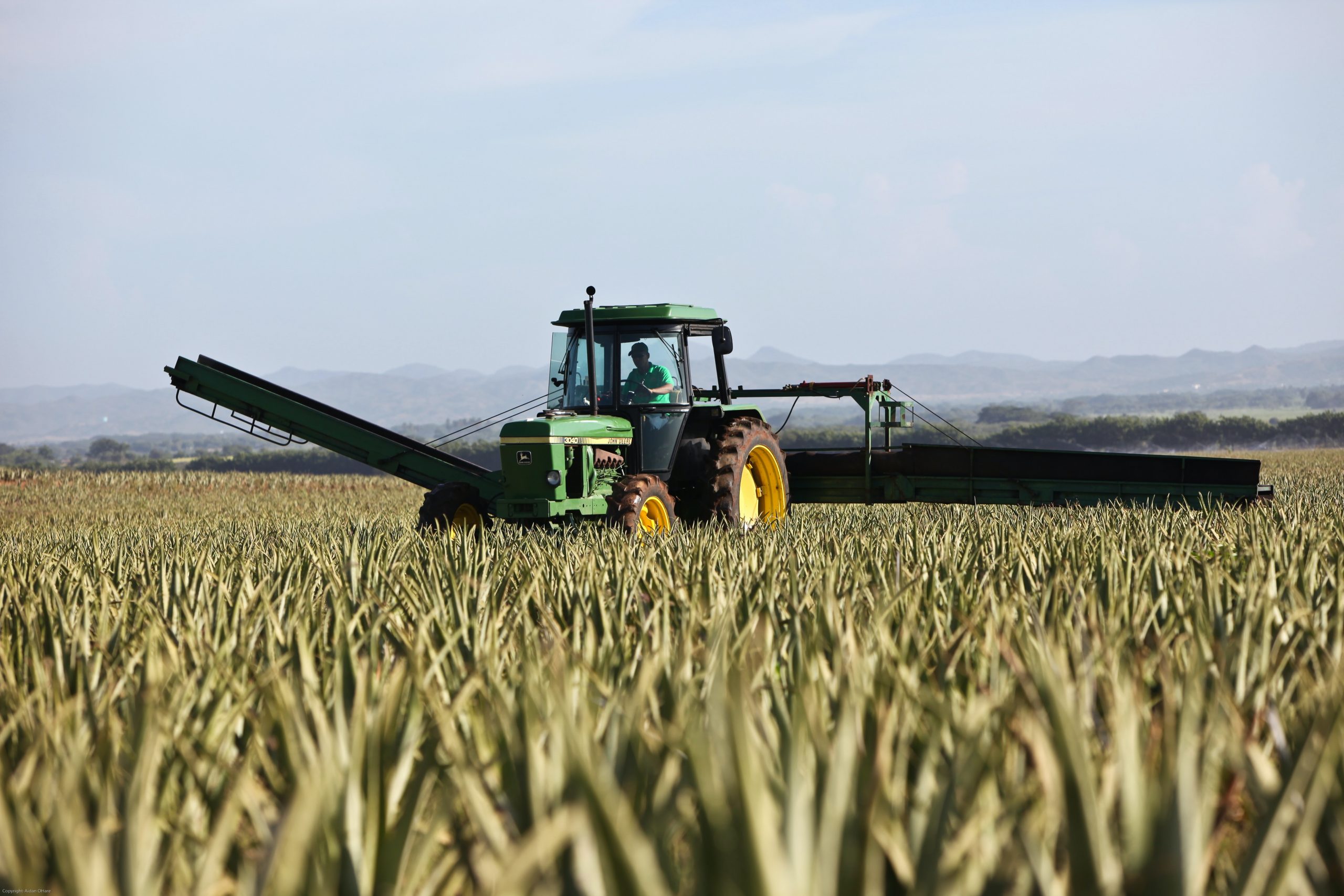 ¿A cuáles productos se les redujo el gravamen arancelario al 0%?