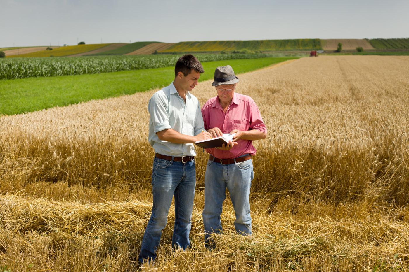 Procedimiento para aprobación de proyectos de inversión en sector agropecuario
