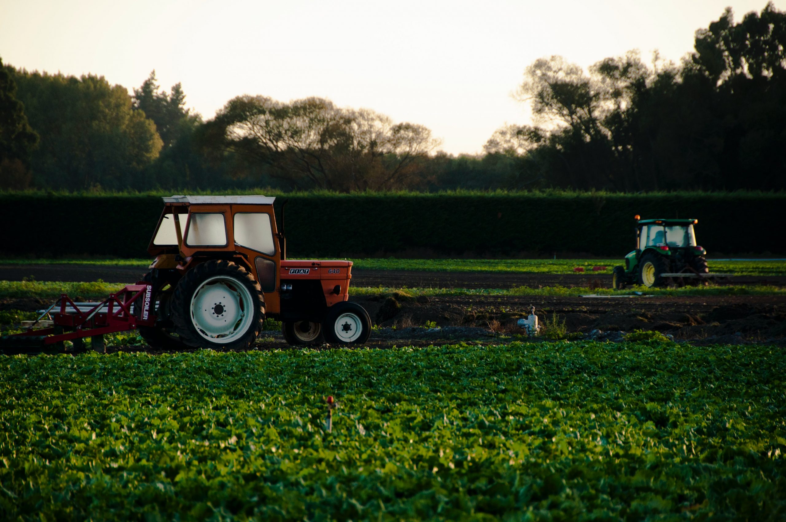 Monto mínimo de empleos para renta exenta en sector agropecuario