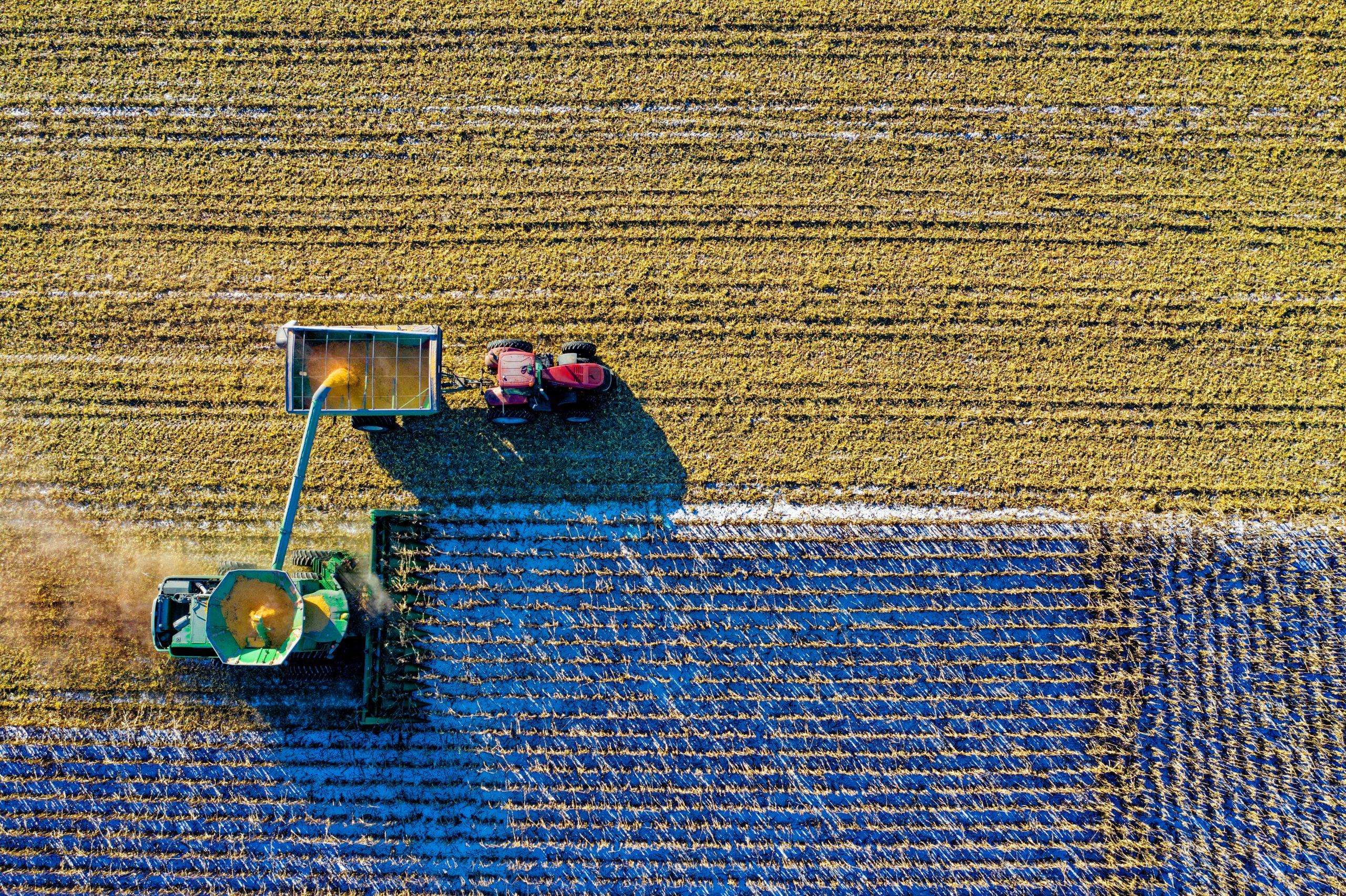 Los efectos del Paro Nacional han sido más negativos que la pandemia para el sector agropecuario