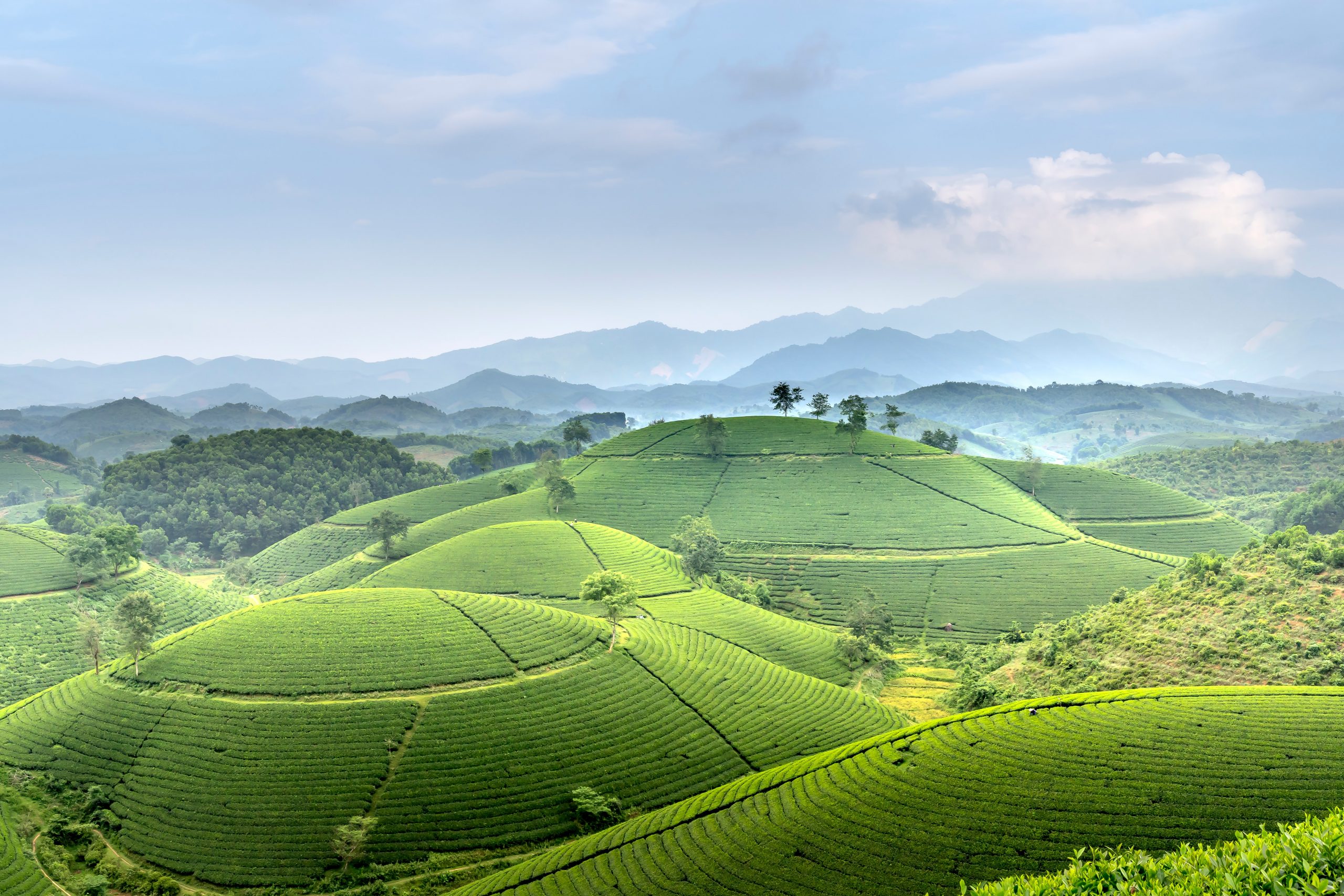 Ministerio de Comercio, Industria y Turismo confirmó la realización de dos Proyectos turísticos Especiales