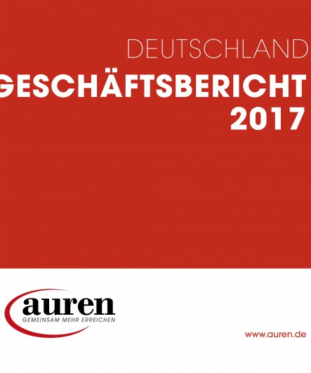 Geschäftsbericht 2017