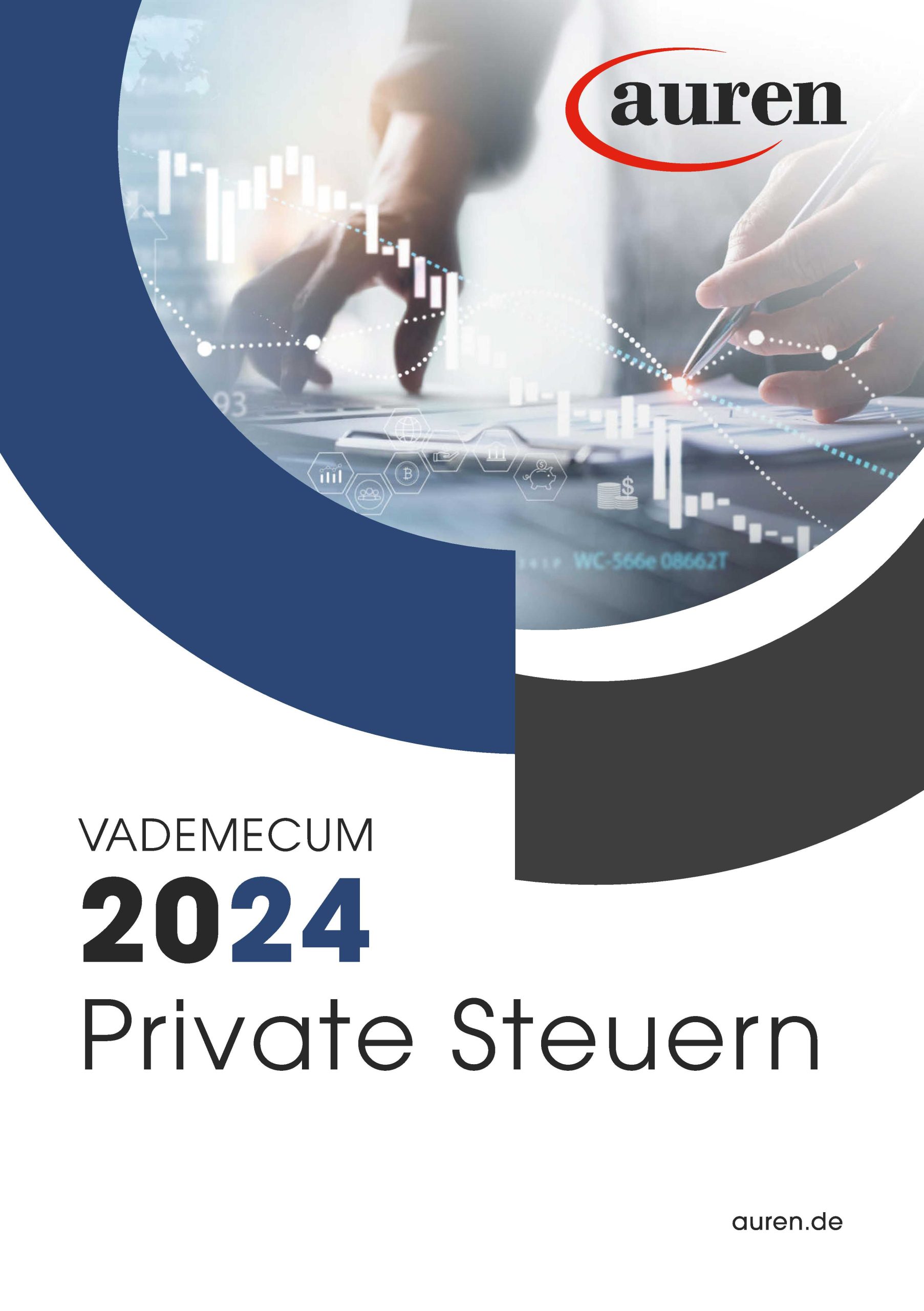 Vademecum 2024 Private Steuern