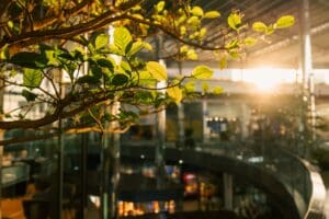 Sustainability & Solidarity Actions