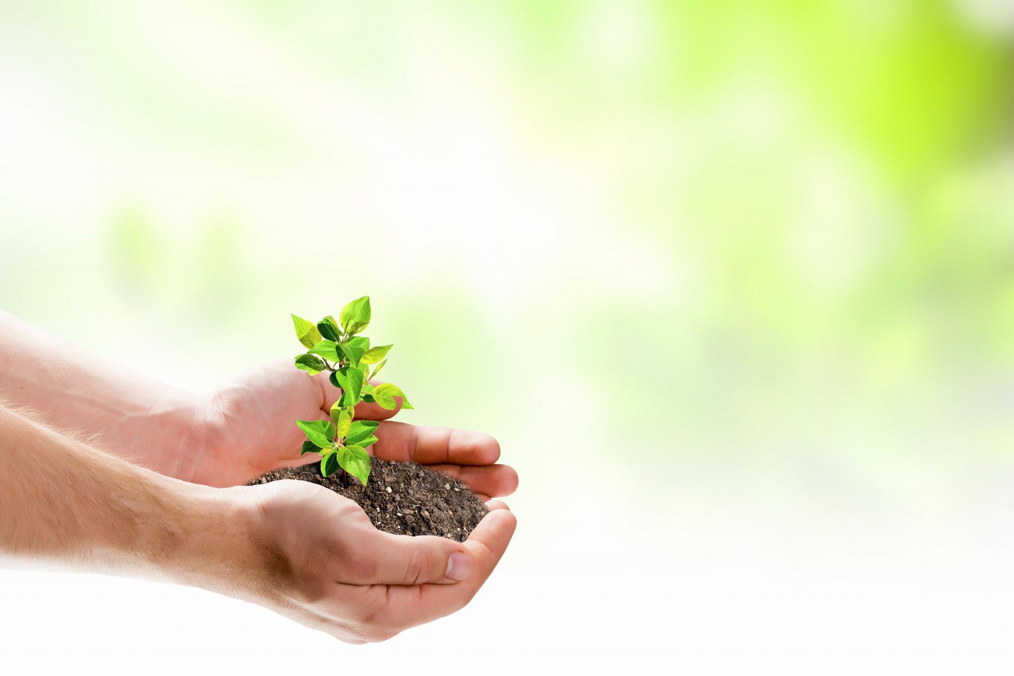 Economía circular en el sector agrario y agroalimentario