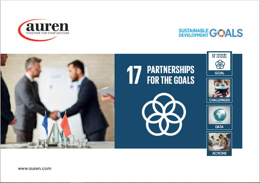 17 Partnerships for the goals 17 Partnerships for the goals