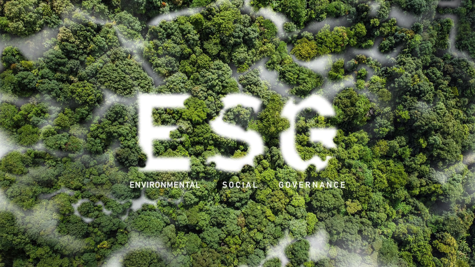 Corporate Social Responsibility as Part of Our Identity