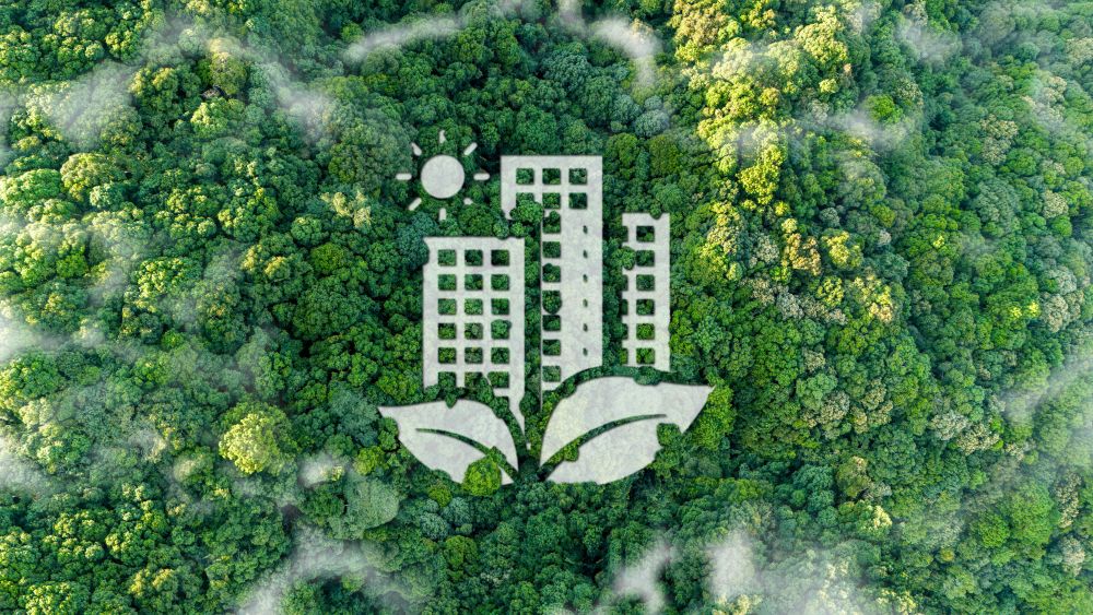 The role of management in creating sustainable value