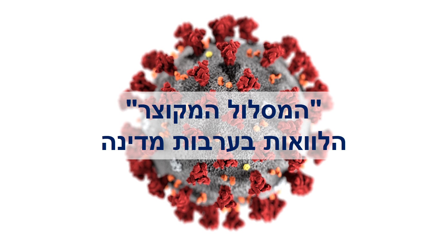 הלוואות בערבות מדינה “המסלול המקוצר”