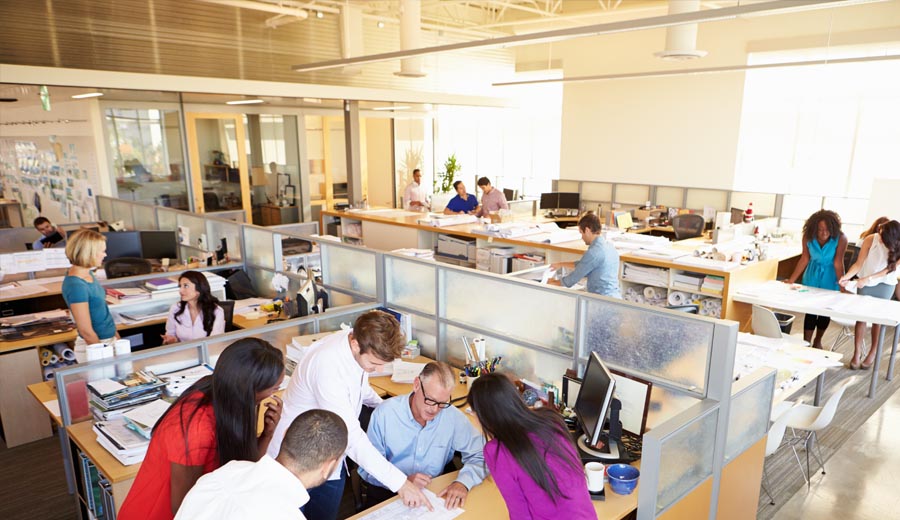 Information for Expats in the Netherlands