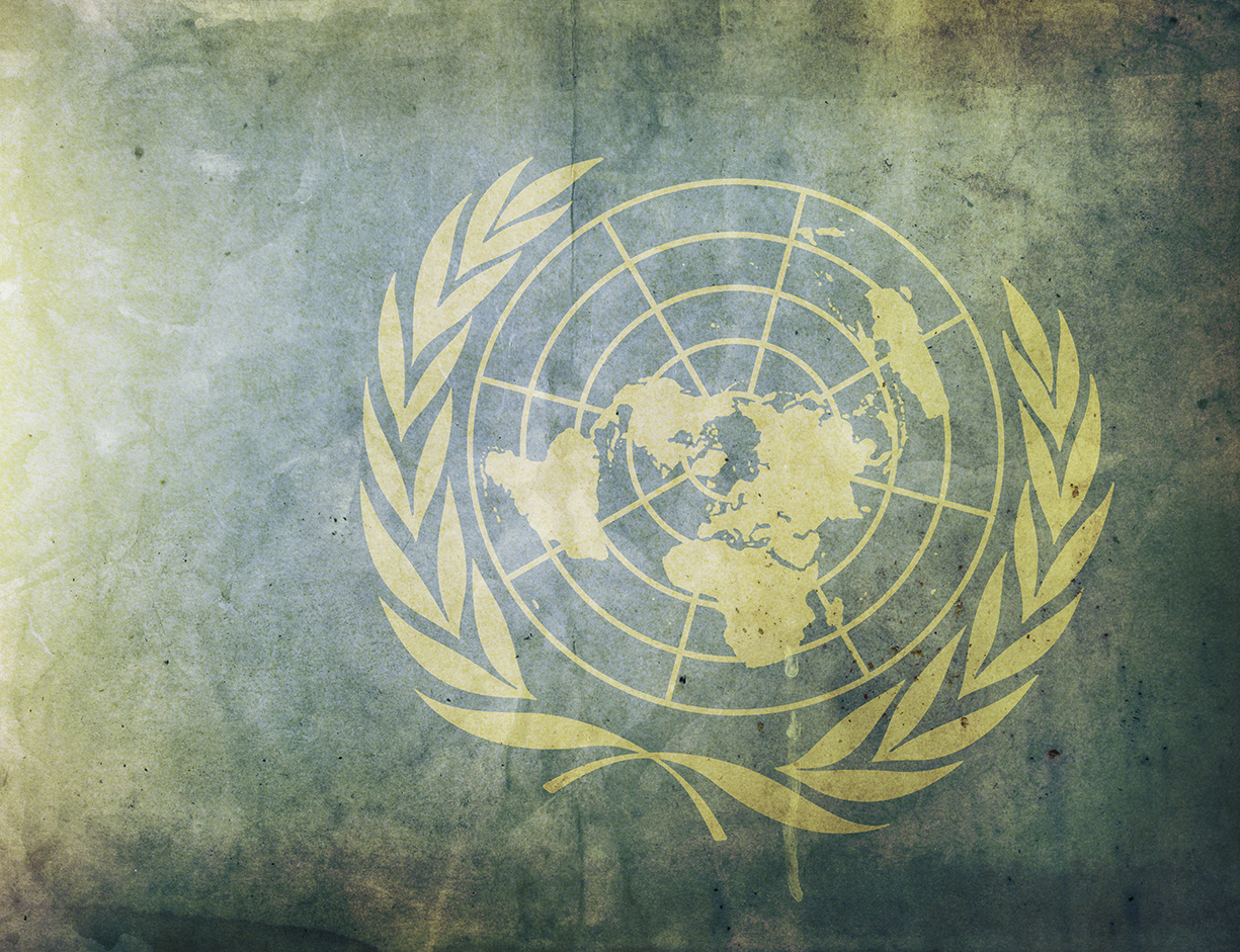 17 Sustainable Development Goals (SDG) 17 Sustainable Development Goals (SDG)