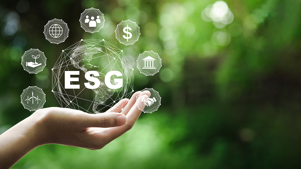 How to align the company’s strategy with ESG objectives? How to align the company’s strategy with ESG objectives?
