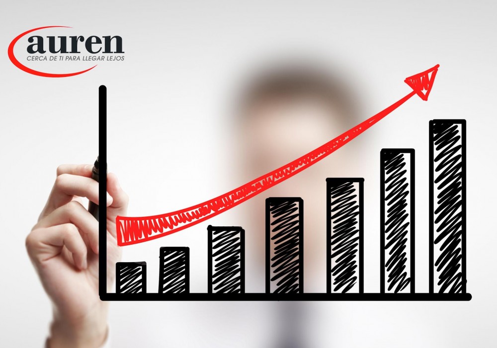 Creando Rentabilidad en la Empresa