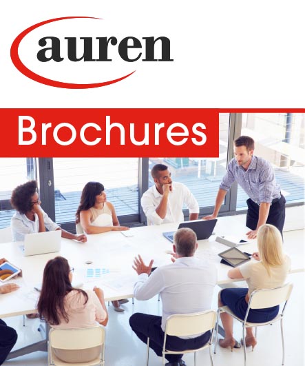 Auren Market Research 2019