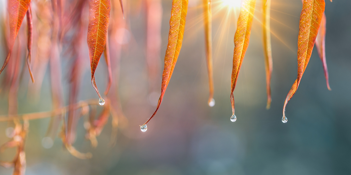 Nieuwsbrief november 2021 Nieuwsbrief november 2021