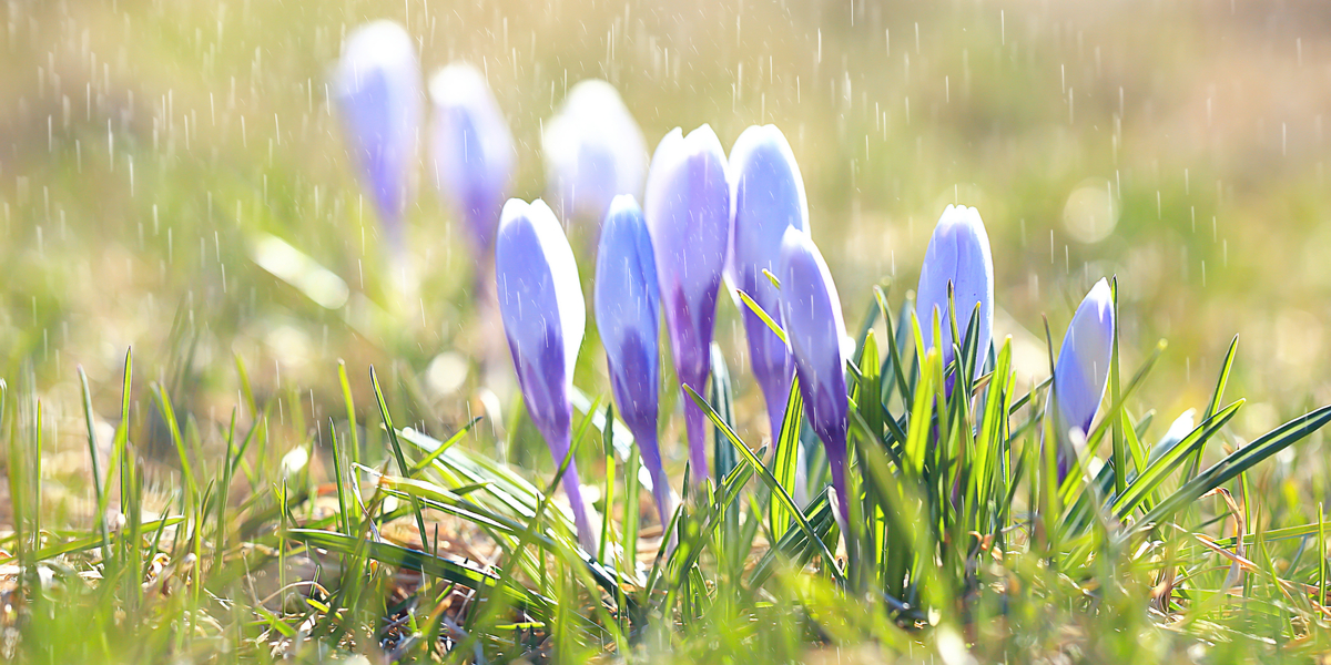 Nieuwsbrief februari 2022 Nieuwsbrief februari 2022