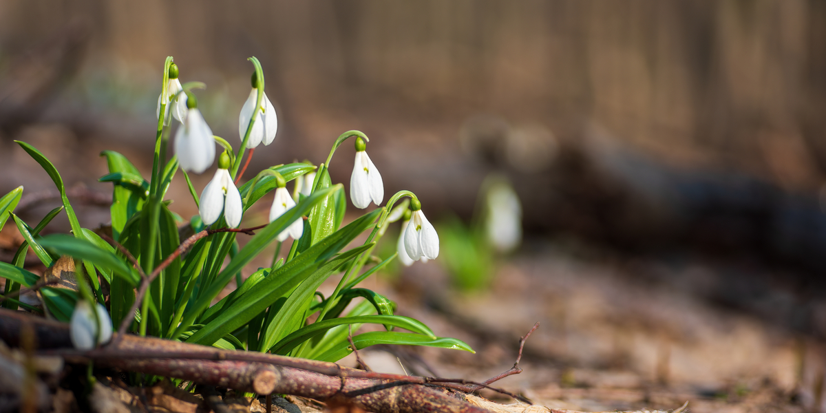 Nieuwsbrief februari 2023 Nieuwsbrief februari 2023