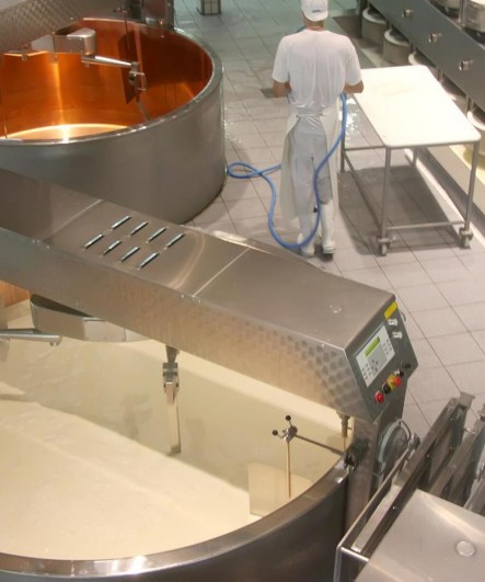 HACCP  Sector Alimentar