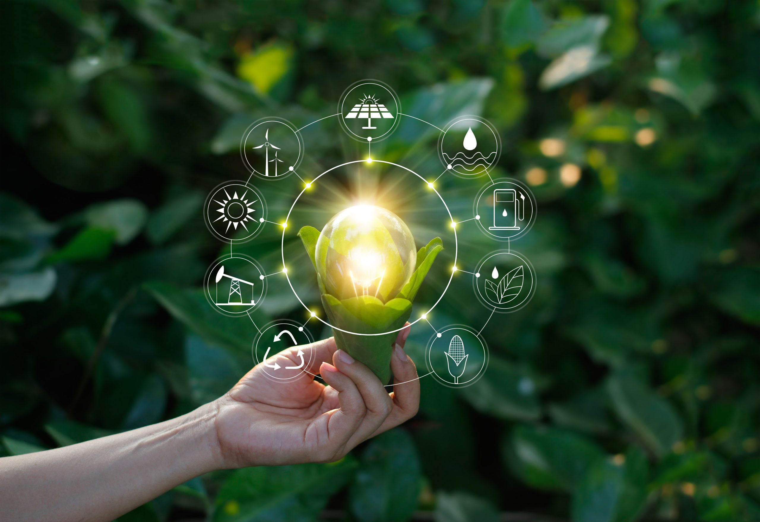Auren Sustainability e Climate Change apoia clientes a liderar o ranking mundial CDP Auren Sustainability e Climate Change apoia clientes a liderar o ranking mundial CDP