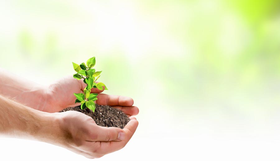 Excellent positioning for Auren in the IAB Worldwide ranking