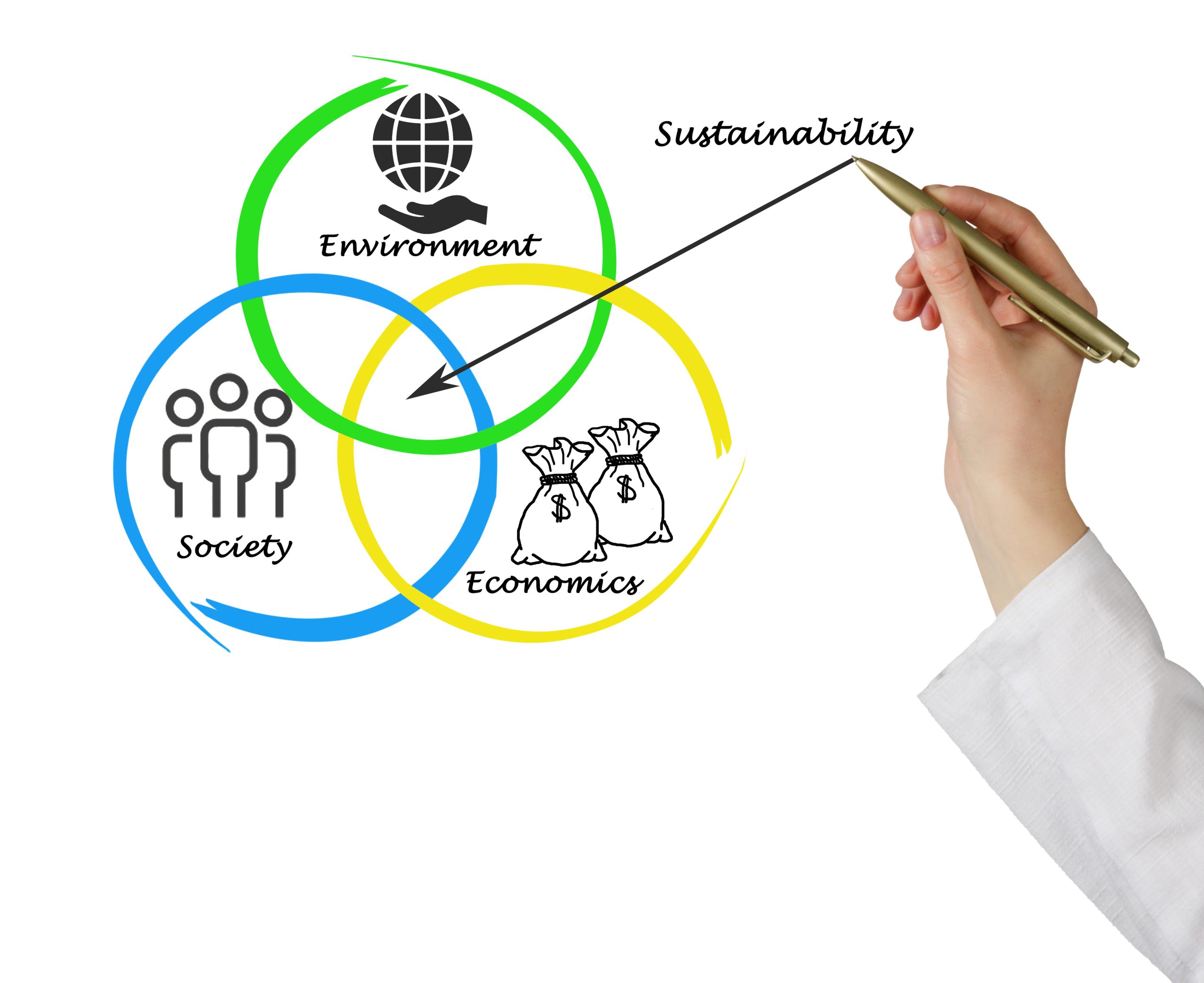 Sustainability risk paradigm shift and Materiality