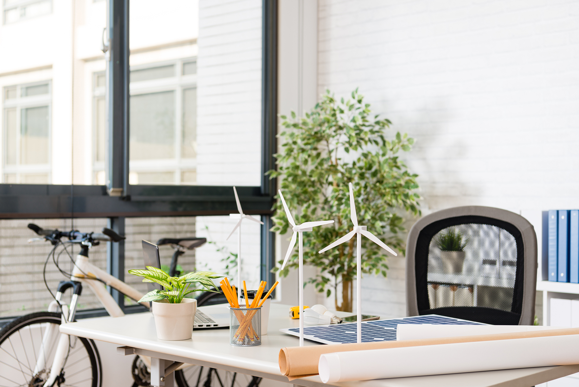 Sustainability – A new frontier for fiscal reputation?